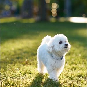 Meet your Posher, Becky